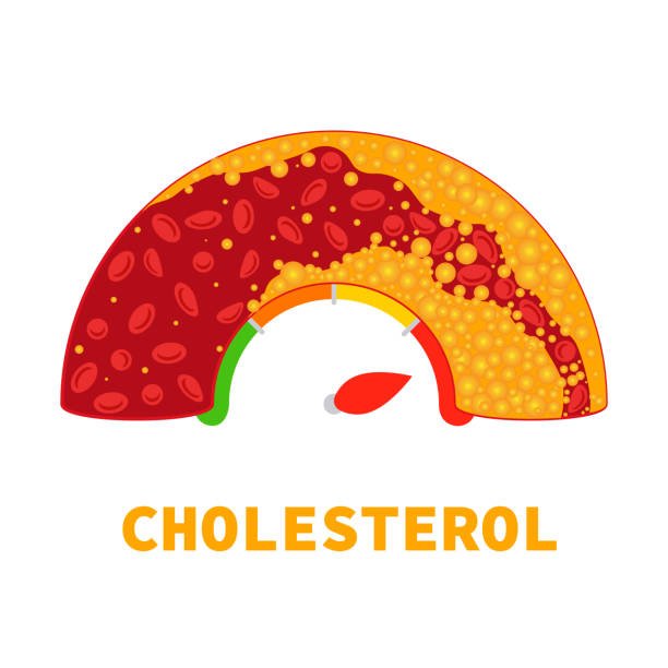 Illustration representing cholesterol and heart health
